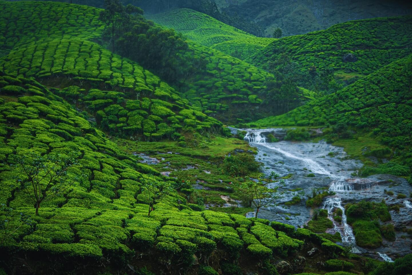 Munnar